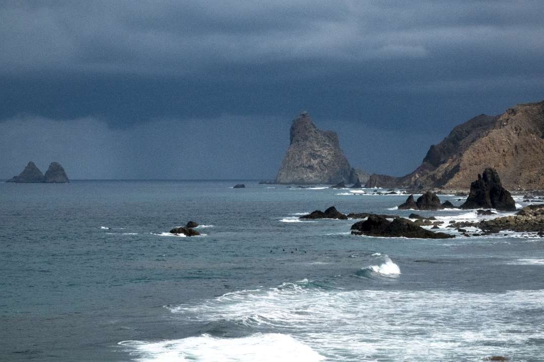 Canaries Canaries